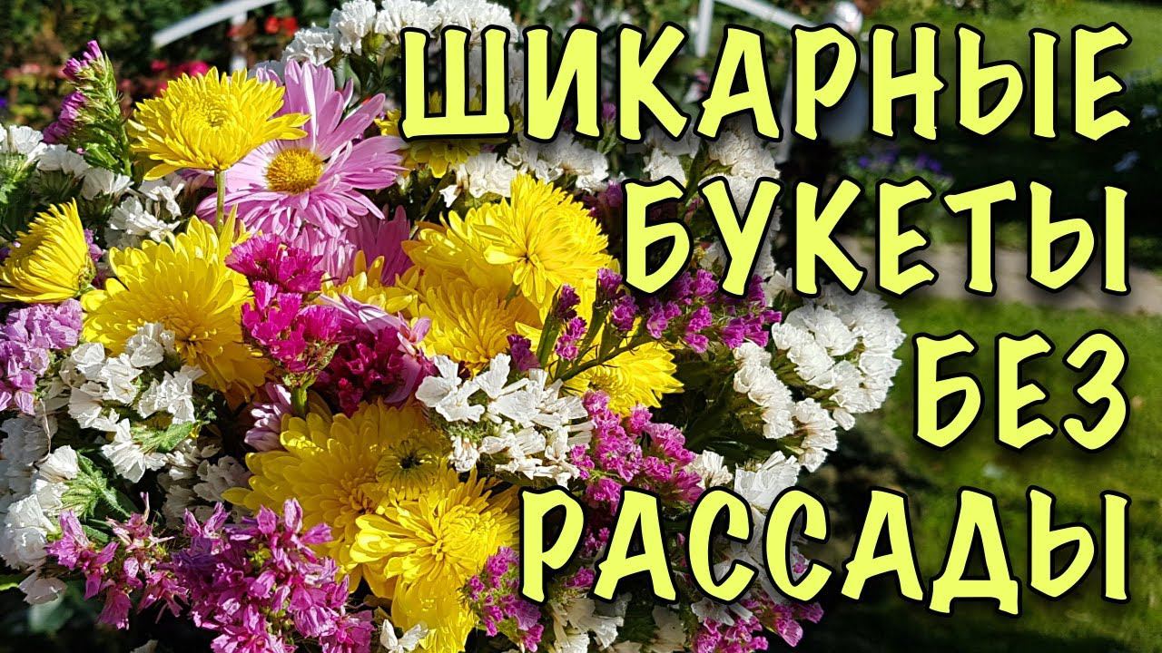 БЕЗ РАССАДЫ! ЛУЧШИЕ ОДНОЛЕТНИКИ для СРЕЗКИ! Ухода НЕ ТРЕБУЮТ, цветут ДО ЗАМОРОЗКОВ!