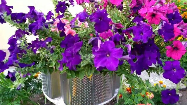 Белорусские дачи смотреть онлайн