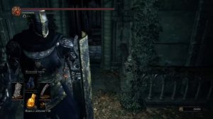 Dark Souls 3 Sage Ring +2 | Кольцо мудреца +2 (NG++)