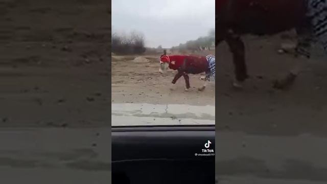 165639787_763929624539089_146313509416172064_n