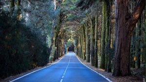 Долорес Кэннон  Многомерная Вселенная Том 4  ч 1