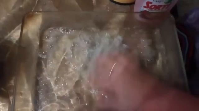 От блох ловушка.эффективная,проверенная смотреть онлайн