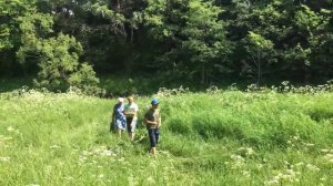 Прогулка к реке, проверили черничник.