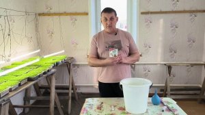 Первые весенние работы. Подкормка табака, обрезка яблони и роза из коробки. Наша жизнь в деревне
