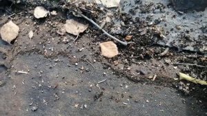 РЕМОНТ КРЫШИ В САРАЕ.