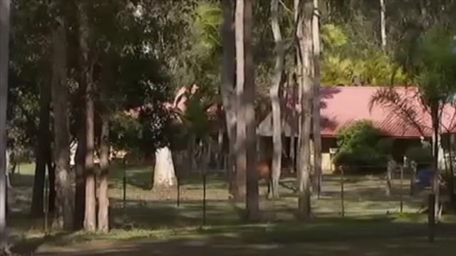 The Horrifying Case of Tiahleigh Palmer смотреть онлайн