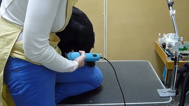 Гигиена задних лап.