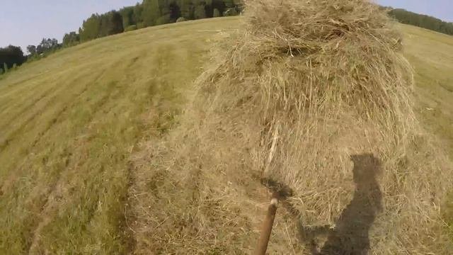 Ставим копны. Рассуждения о сене и сенокосе.
