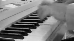 Theme from Love Story - piano cover