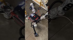 Робот-паук от студентов Швейцарии