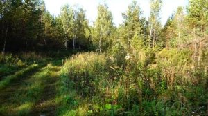 ГРИБЫ РЫБАЛКА ЯГОДЫ ТВЕРСКИЕ ДАРЫ,ПОДМОСКОВЬЕ