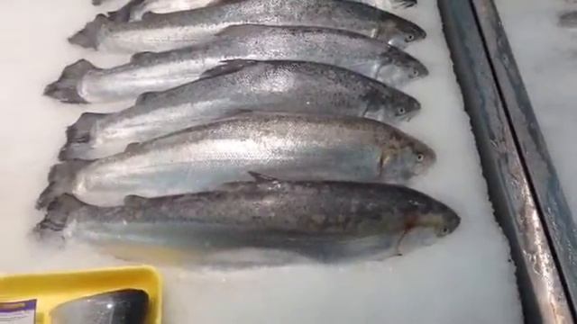 Красивая рыба в Ленте г. Кемерово смотреть онлайн