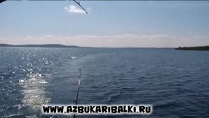 Рыбалка в Карелии. Палия Пяозера.