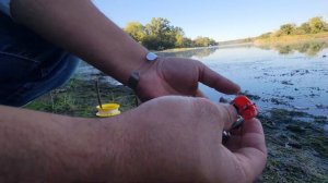 INGENIOSA forma de pescar tiene este pescador, con LINEA y CARRETE de mano