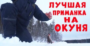 ЛУЧШАЯ ПРИМАНКА НА ОКУНЯ!!! ВТОРОЙ ГОД ЕЕ НЕ СНИМАЮ!!!