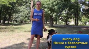 Отучаем щенка подбирать еду на улице