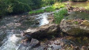 По дороге в Юность