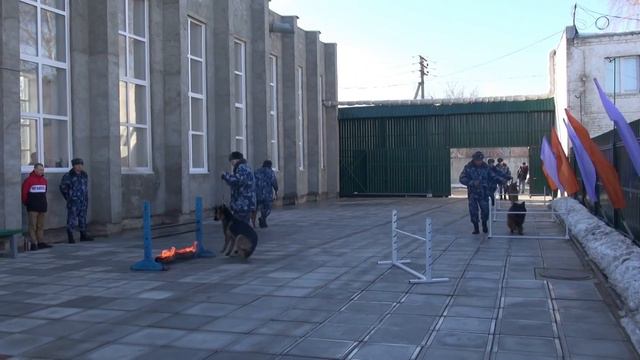 21 июня - День кинологической службы уголовно-исполнительной системы