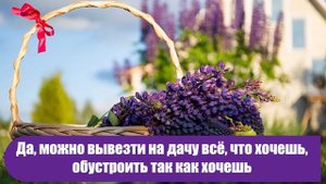 Как Владимир Иванович соседку до дачи довозил, а потом увидел какая у неё дача