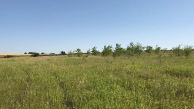 Романов Сергей - "Колосится озимая рожь" смотреть онлайн