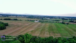 KF101 MAX FIRST FLIGHT TESTING!