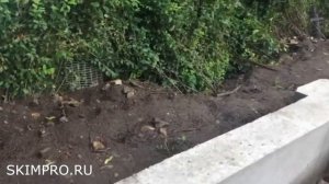 Ленточный фундамент для забора