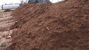 Торф для голубики. Размер и объем посадочной ямы