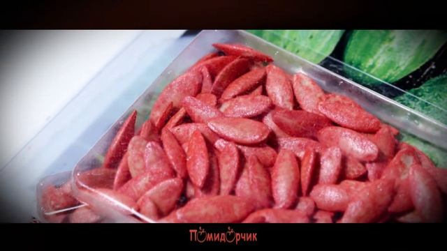 Семена Огурец Титус F1 инкрустированные - Помидорчик смотреть онлайн