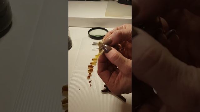 препарирование почки