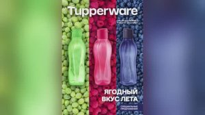 Tupperware Moscow | Промо августа Tupperware 2024