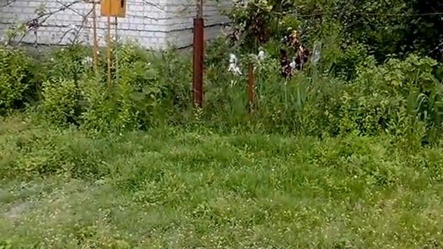 Продам участок 5соток с.Станишовка Житом.обл. смотреть онлайн