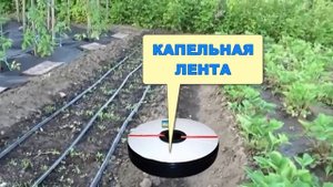 Эмиттерная Лента Для Капельного Полива Купить