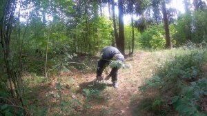 Уроки выживания | двухсторонняя ловушка петля на мелких животных