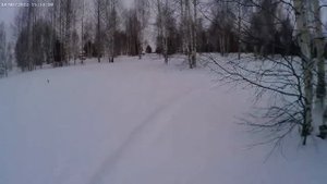 Охота на тетерева с лунок.
