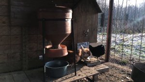 Автоматическая кормушка для кур с таймером