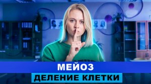 Деление клетки: Мейоз | ИНТЕНСИВ | Ксения Напольская