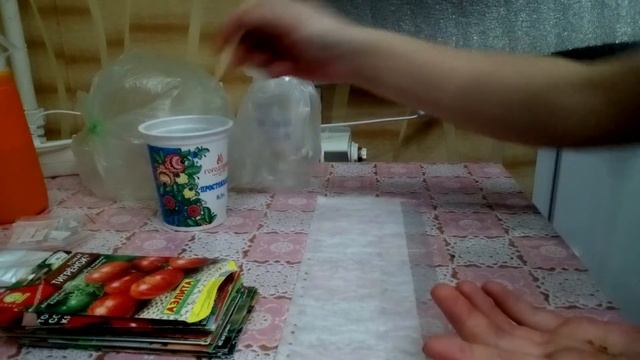 ПОСЕВ ТОМАТОВ НА РАССАДУ!100% ВСХОДЫ РАССАДЫ