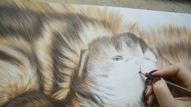 Realistic colored pencil drawing cat - TimeLapse (Рисунок цветными карандашами кошка и котенок) смотреть онлайн