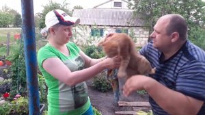 8 июня . Жизнь простых людей в деревне .Пончики удались. Полив помидор . Заходите в гости.
