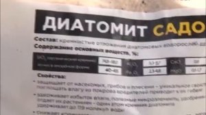 Высаживаем огурцы в теплицу, готовим картофель к посадке