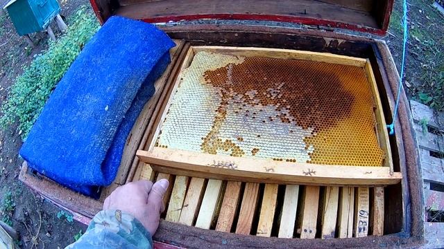 Черный мед смотреть онлайн