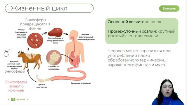 Жизненные циклы паразитов. Циклы червей паразитов. Жизненные циклы паразитов ЕГЭ биология. Паразиты ЕГЭ.