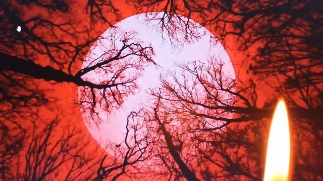 9 ГЛАВНЫХ ВИДОВ ПОРЧИ,СИМПТОМЫ ПОРЧИ