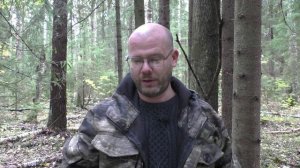 Шекспир, сонет 41