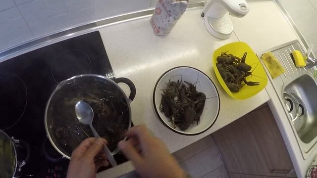 СКОЛЬКО ВАРИТЬ РЕЧНЫХ РАКОВ. Самый простой и классический способ приготовления раков. смотреть онлайн