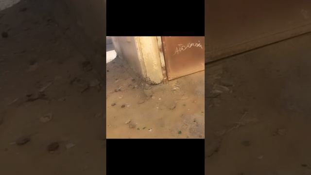 Бизлердинг артимиздан бир адам журибды смотреть онлайн