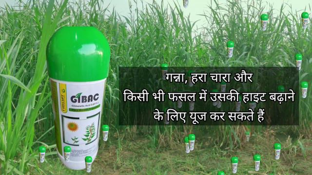 Gibac -parijat industries  gibberellic acid 0.001 l how to use gibberellic acid  gibberellic aci