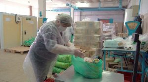 Белгородцы получили более тысячи продуктовых наборов