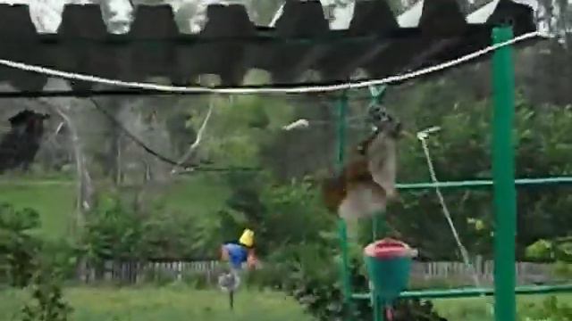 DSCF0440.AVI смотреть онлайн