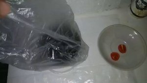 Томаты черри на балконе, круглый год